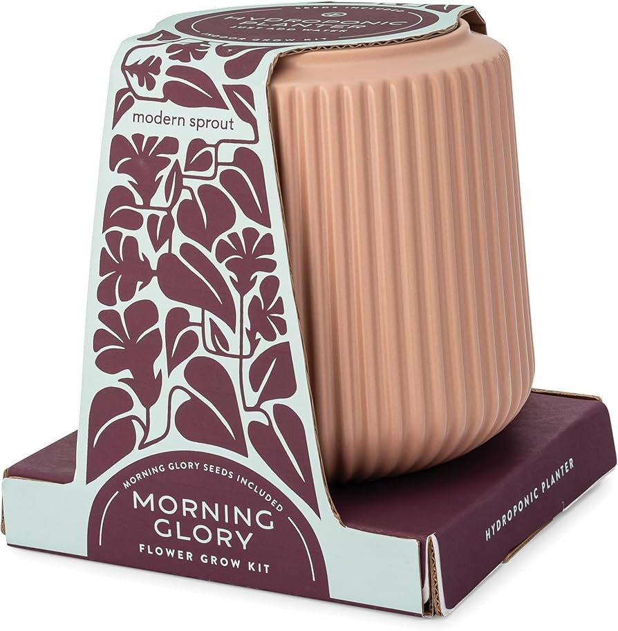 Modern Sprout Flower Grow Kit - Ceramic Planter with Indoor Hydroponics Growing System Kit Ideal ... | Amazon (US)