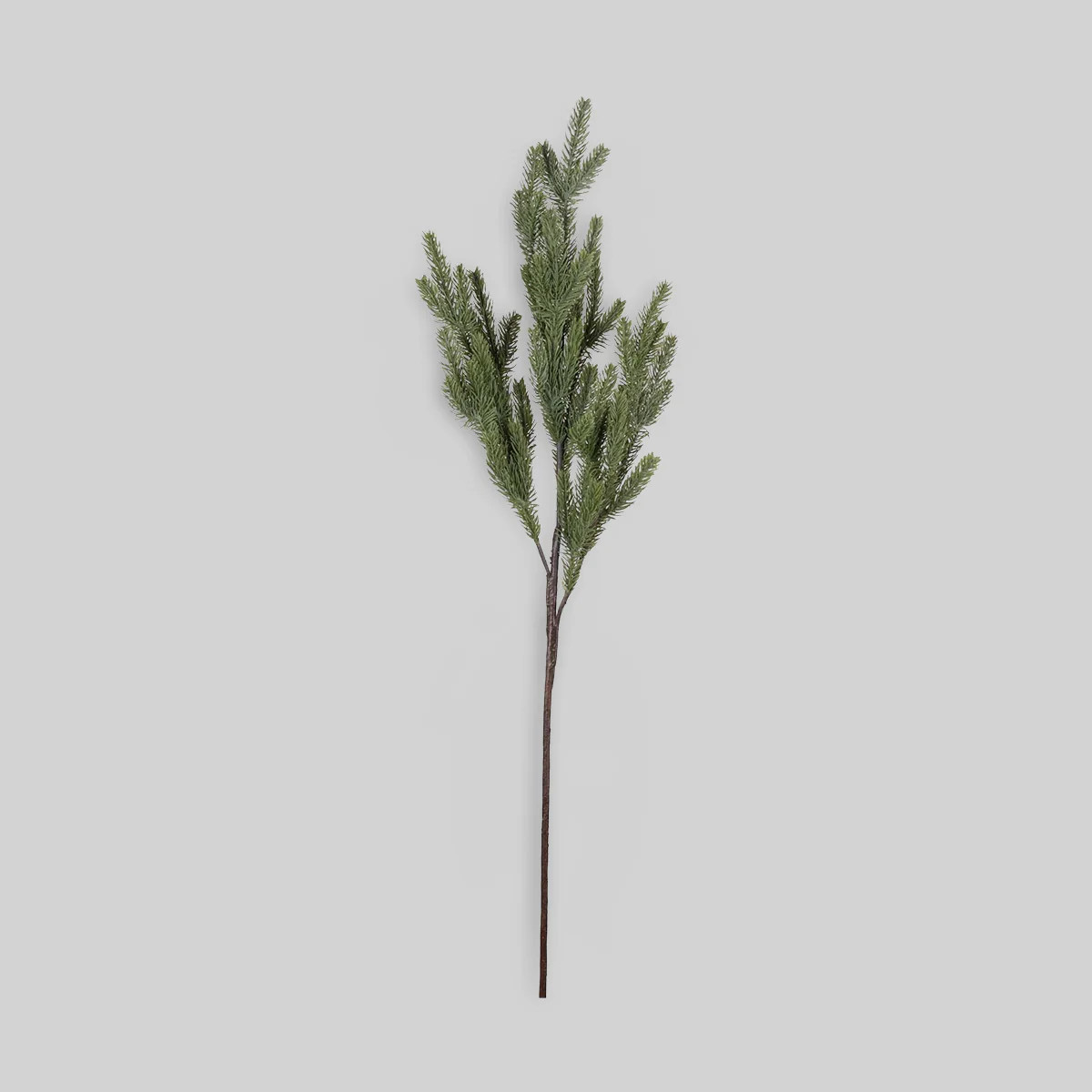 Faux Pine Branch | Feathered Pine Stem for Winter Displays | Bloomist, Inc