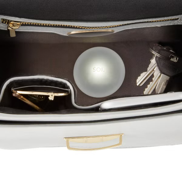 Brainstream Purse Light | The Container Store