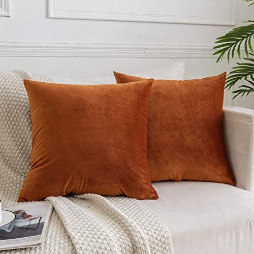 JUSPURBET Velvet Throw Pillow Covers for Sofa Couch Bed,Decorative Soft Pillow Cases Set of 2,18x... | Amazon (US)
