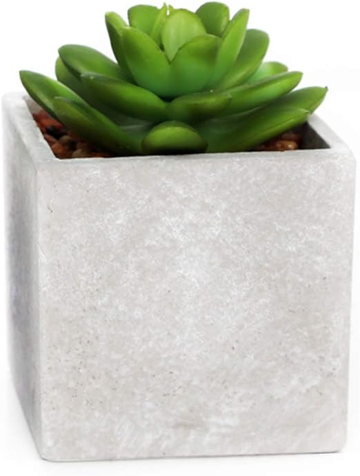 Carousel Home and Gifts Artificial Fake Succulent Cactus Plant With Faux Cement Planter Pot | Amazon (UK)