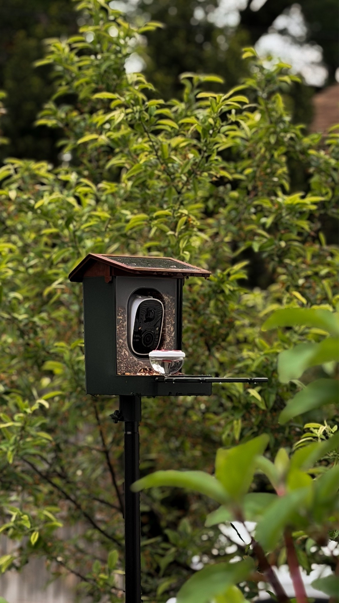 Bird feeder with solar powdered camera!

#LTKmomlife