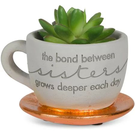 Pavilion Gift- ""The bond between sisters grows deeper each day"" Copper Cement Teacup Planter with  | Walmart (US)
