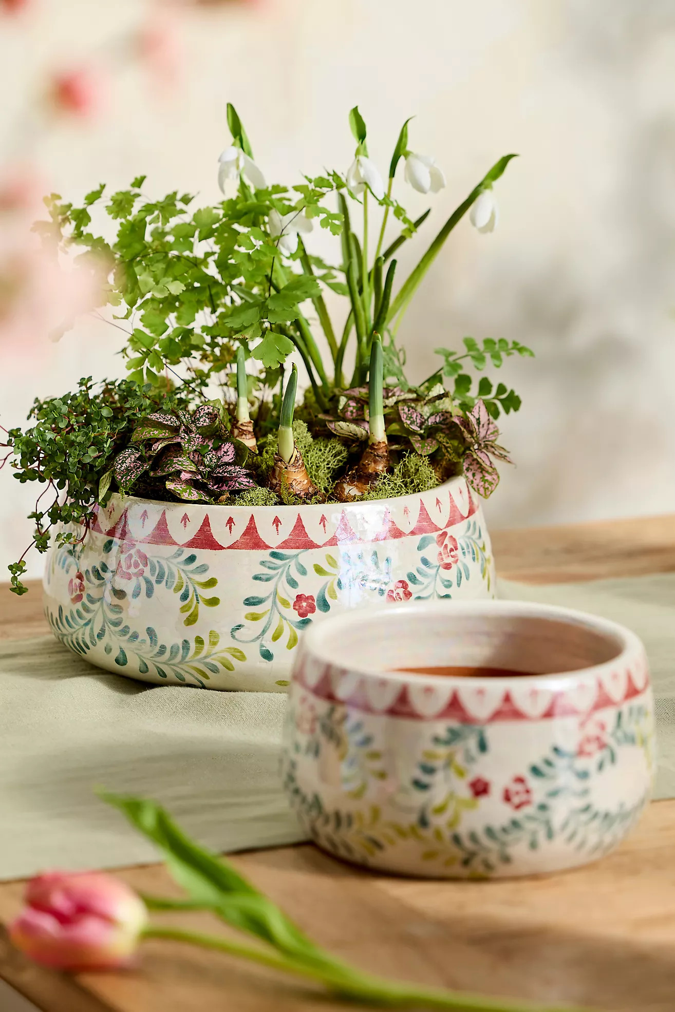 Rose Vine Terracotta Bowl Planter | Anthropologie (US)