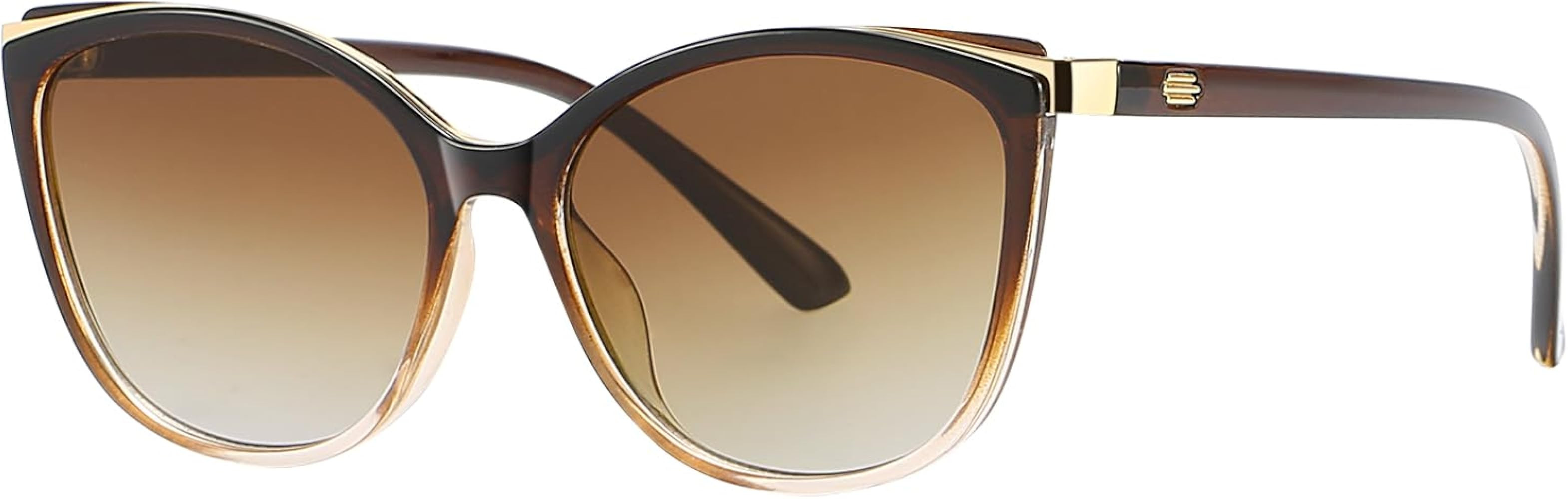 Trendy Cat Eye Sunglasses for Women Fashion Cateye UV400 Protection Glasses CL22017 | Amazon (US)