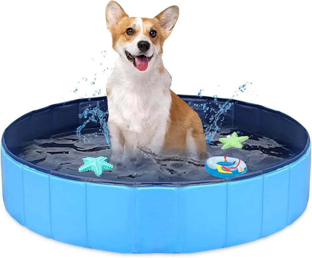 Upgraded Foldable Dog Pet Swimming Pool Plastic Children's Padding Pool Bathtub Large Small Dogs ... | Amazon (US)