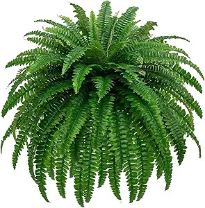GYERB 48" Large Artificial Boston Fern Plants for Outdoor Indoor, Fake Ferns for Front Porch Hang... | Amazon (US)