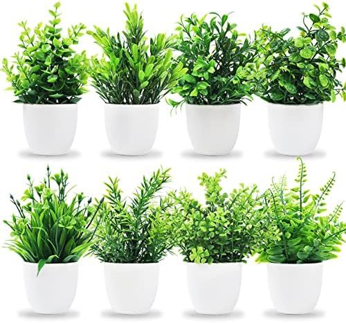 Der Rose 8 Packs Fake Plants for Living Room Decor, Mini Artificial Plants Small Faux Plants Indoor  | Amazon (US)