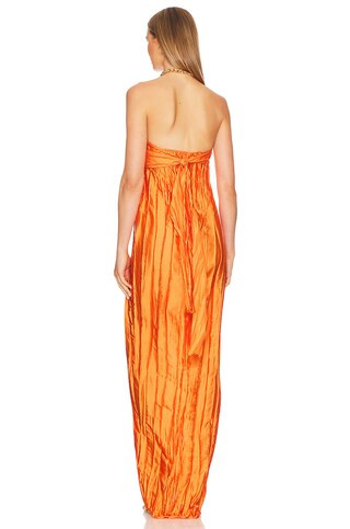 Ariel Maxi Dress
                    
                    Baobab | Revolve Clothing (Global)