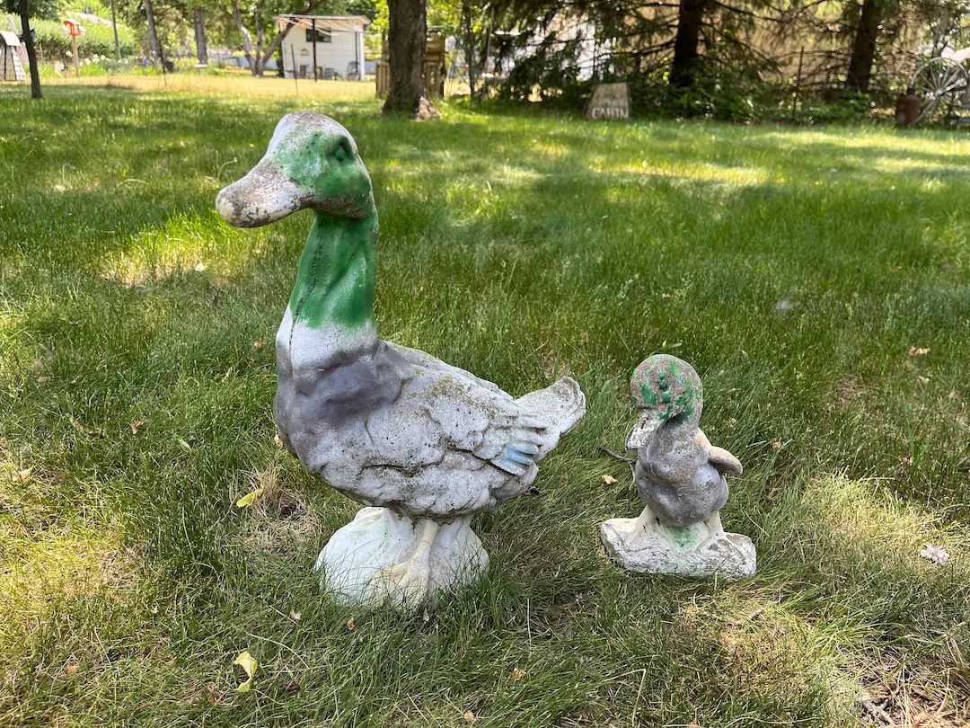 Vintage Concrete Cement Momma Duck Duckling Garden Statue - Etsy | Etsy (US)