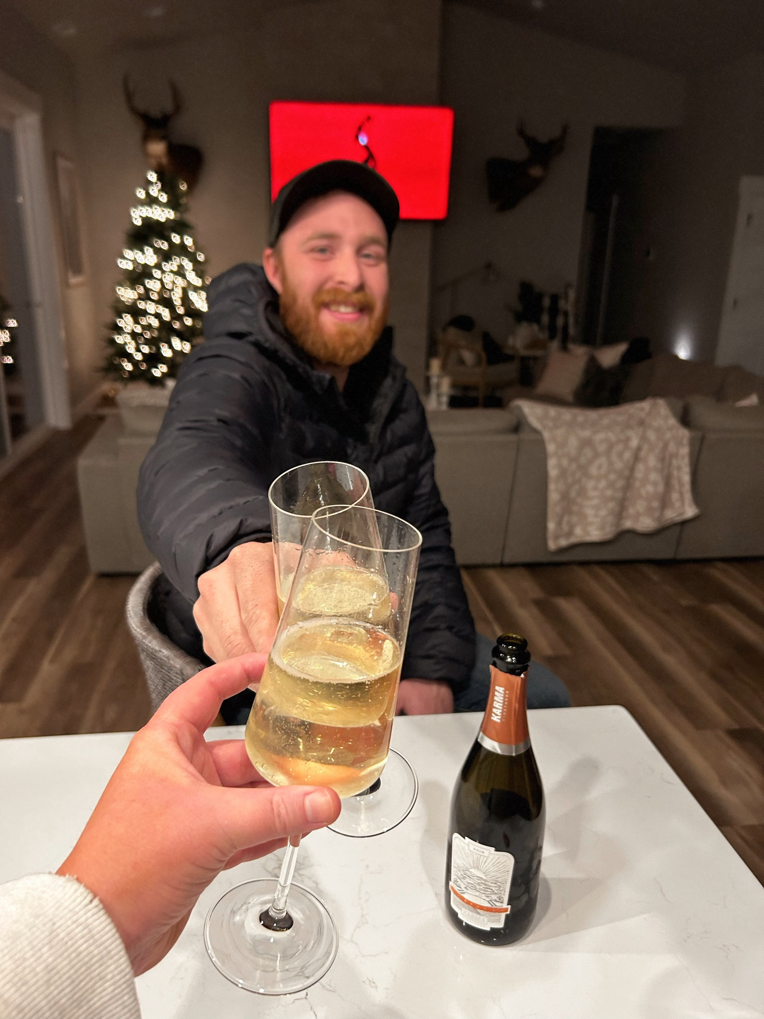 FAV CHAMPAGNE FLUTES 

And the cozies blanket ever in the background 😂 Seriously best gift ever! 

#LTKGiftGuide #LTKhome #LTKfindsunder100