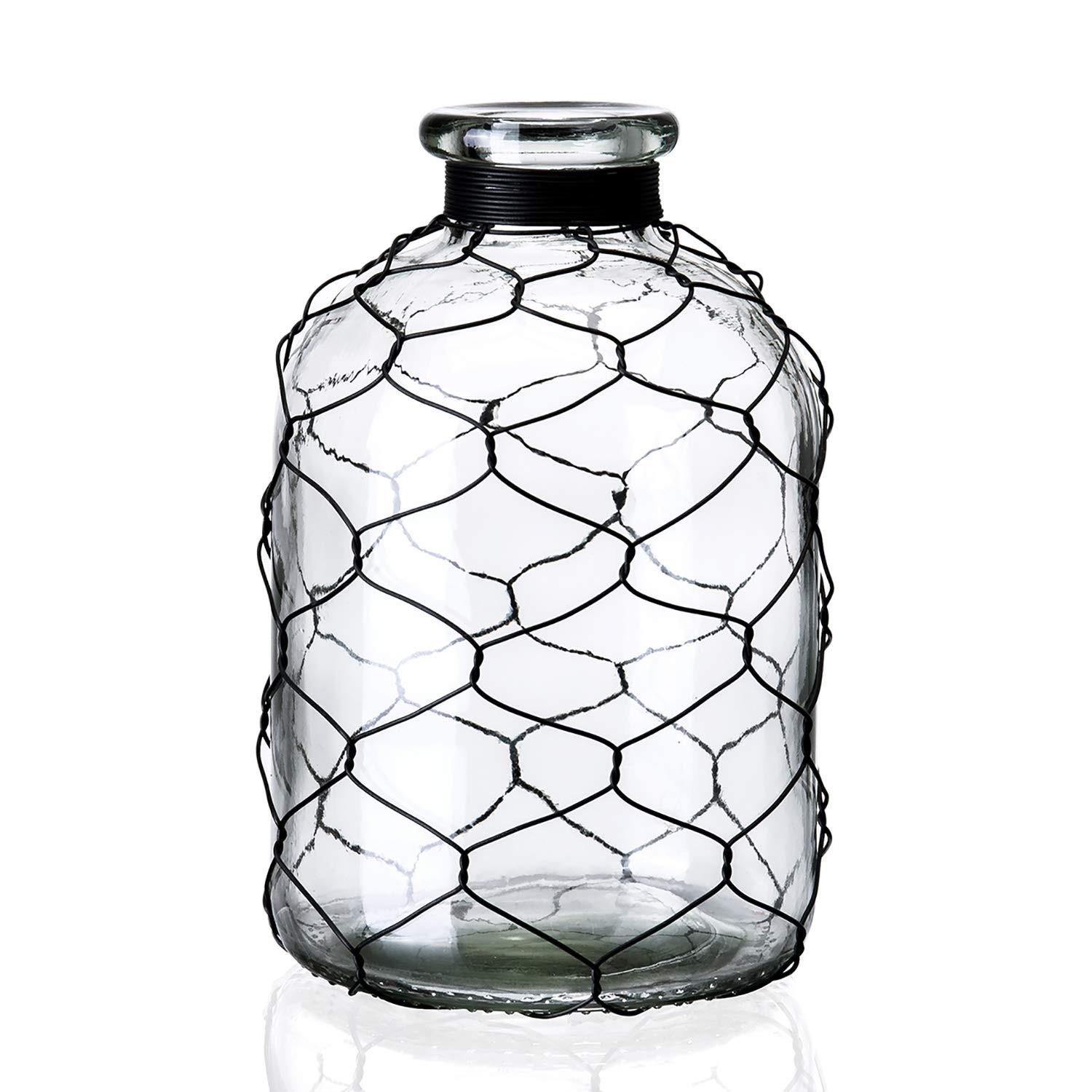 Diamond Star Decorative Glass Bottle Vase Chicken Wire Wrap Flower Vase for Home Decor (4" X 7") Clear | Amazon (US)