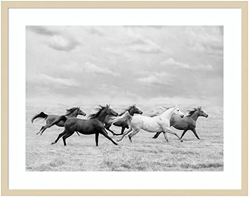 Amanti Art Framed Wall Art Print 26x33 Horse Run I by PHBurchett, Animals Wall Art, Rustic Farmho... | Amazon (US)
