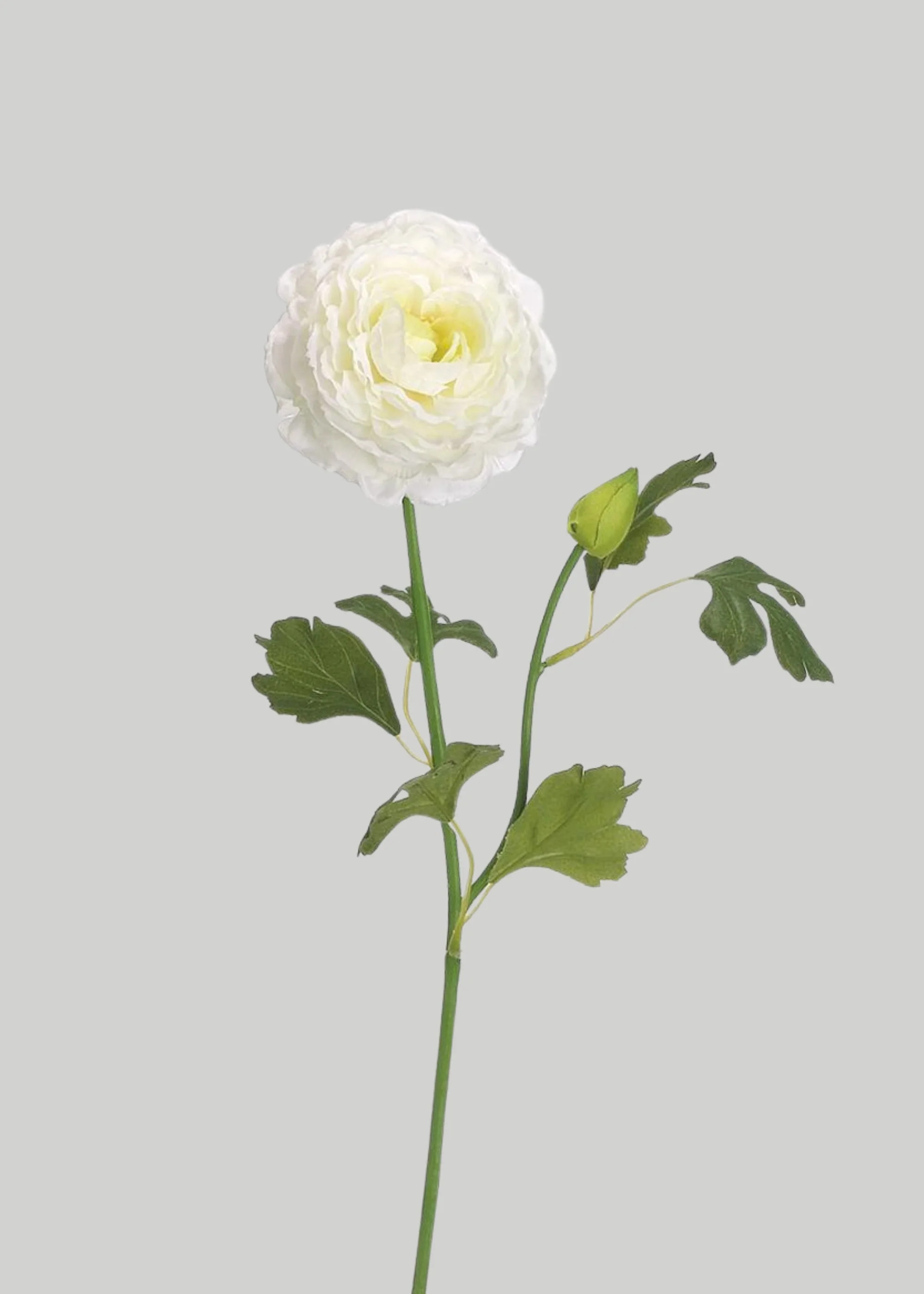 Cream White Artificial Ranunculus Flower - 19" | Afloral