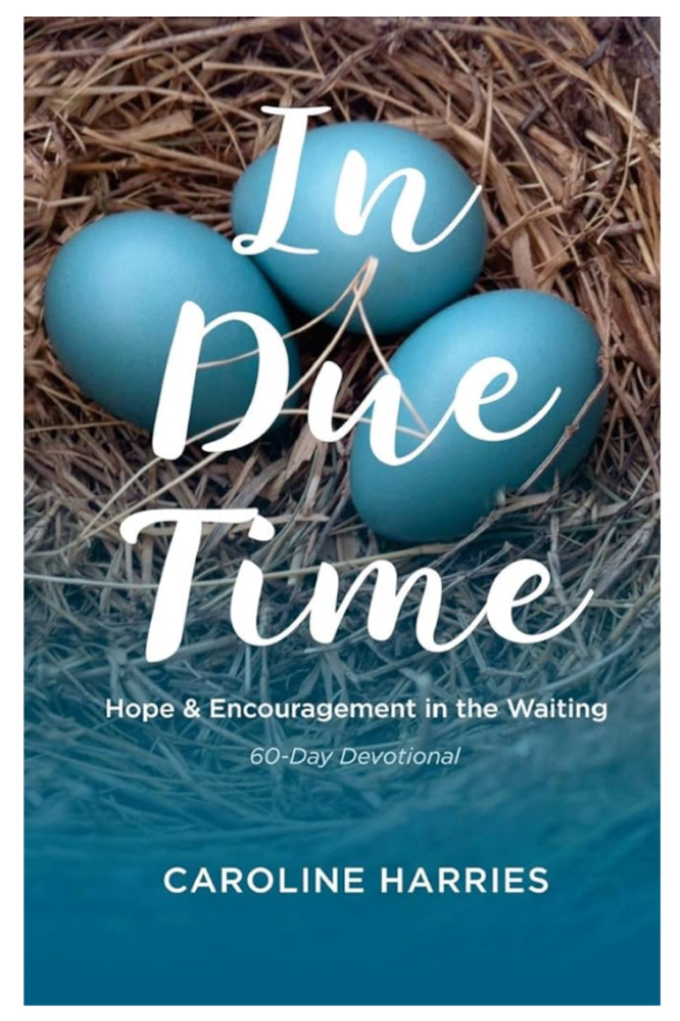 These are my all time favorite devotionals 🩷

#LTKOver40 #LTKFindsUnder50 #LTKHome