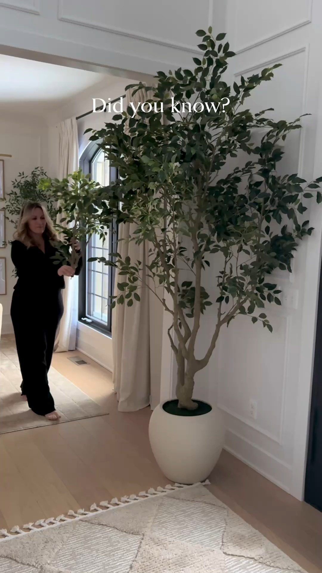 Faux ficus, shady lady and olive trees. Large floral stems.

#LTKSaleAlert #LTKHome