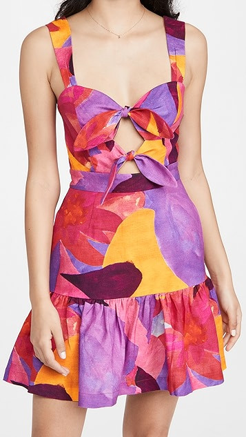 Pablo Tie Mini Dress | Shopbop