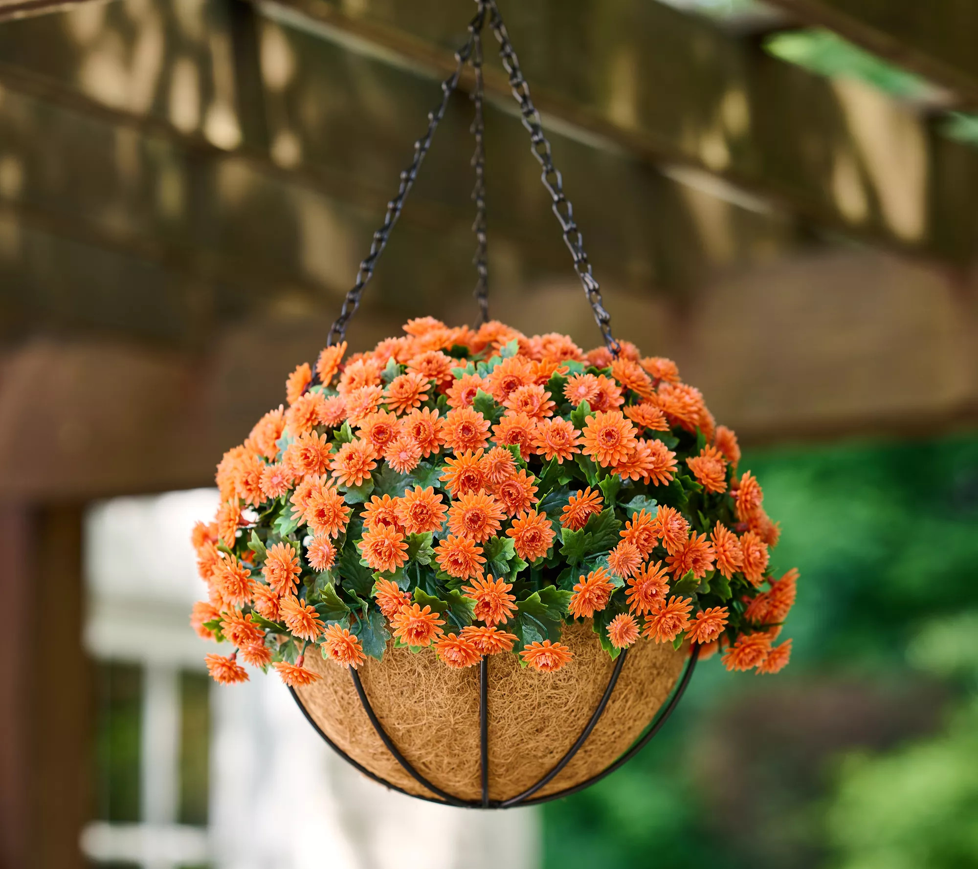 Wicker Park 14" Harvest Faux Mum Hanging Basket - QVC.com | QVC