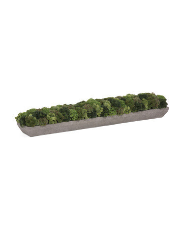 41 Inch Outdoor Covered Porch Safe Sedum In Cement Planter | TJ Maxx