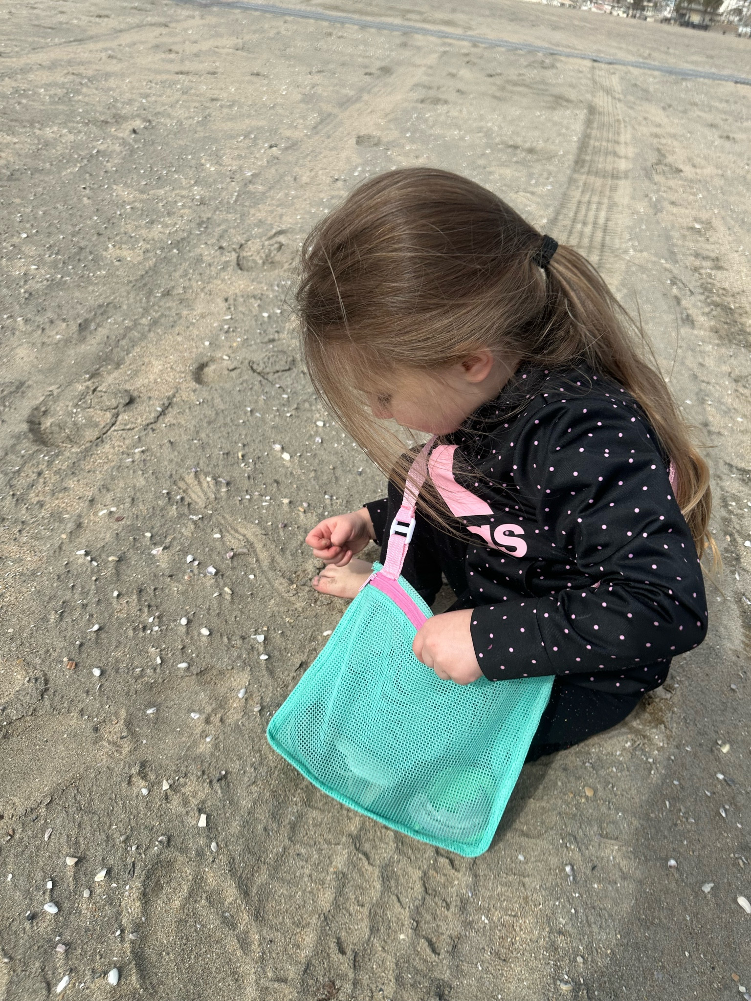 Seashell bags perfect for upcoming trips 

#LTKfamily #LTKswim #LTKtravel