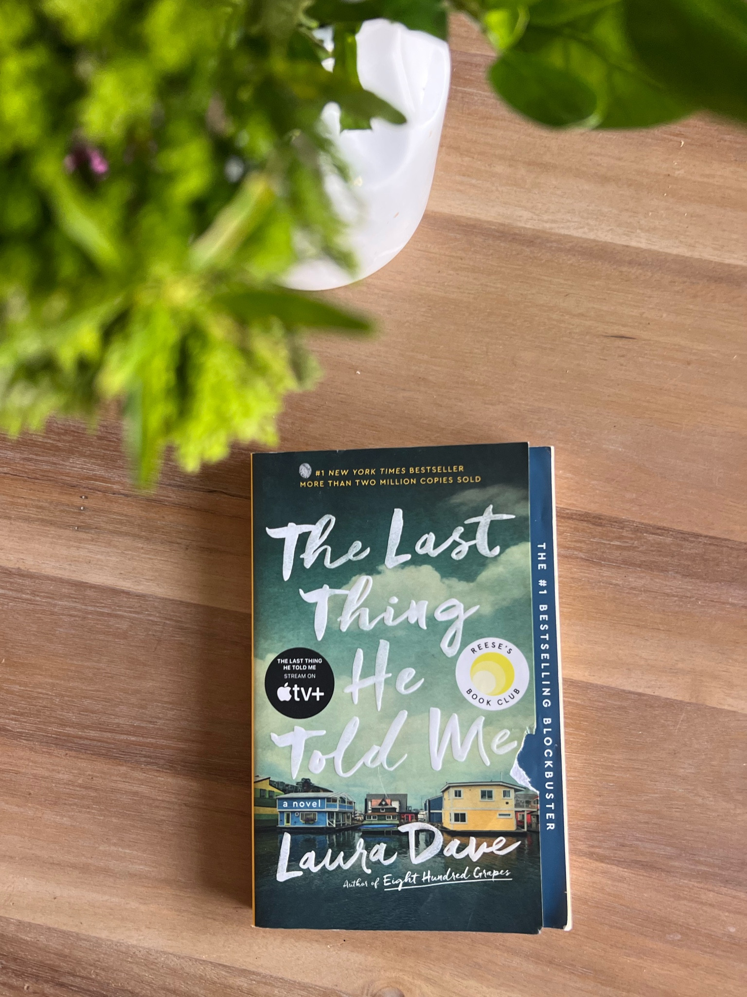 New Apple TV show that was originally a BOOK! 