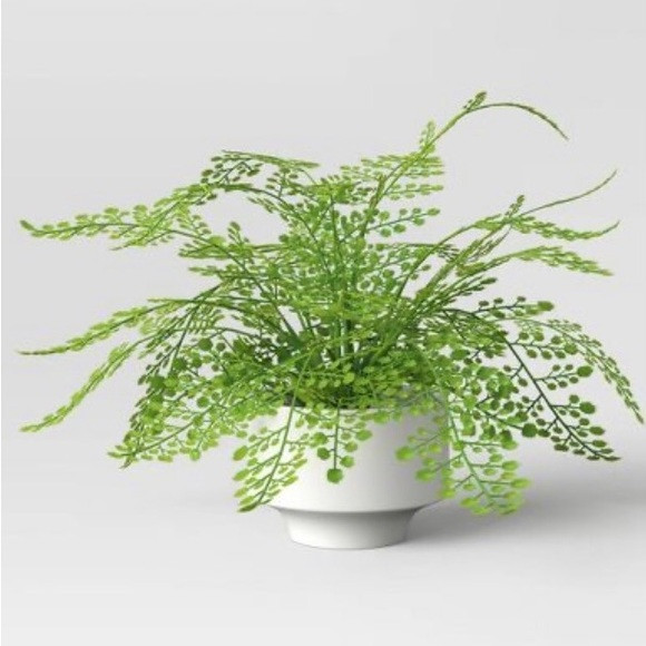 14” Fern in Modern Pot Maiden Hair Arrangement - Threshold™ | Poshmark