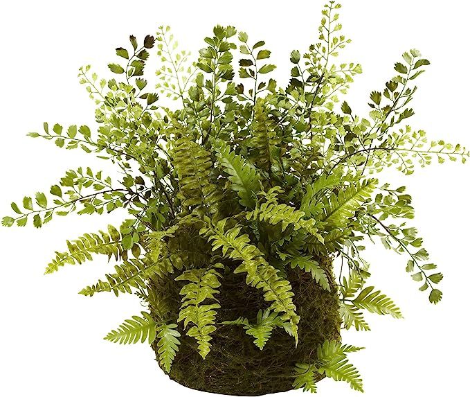 Nearly Natural 4846 Mixed Fern with Twig and Moss Basket,Green | Amazon (US)