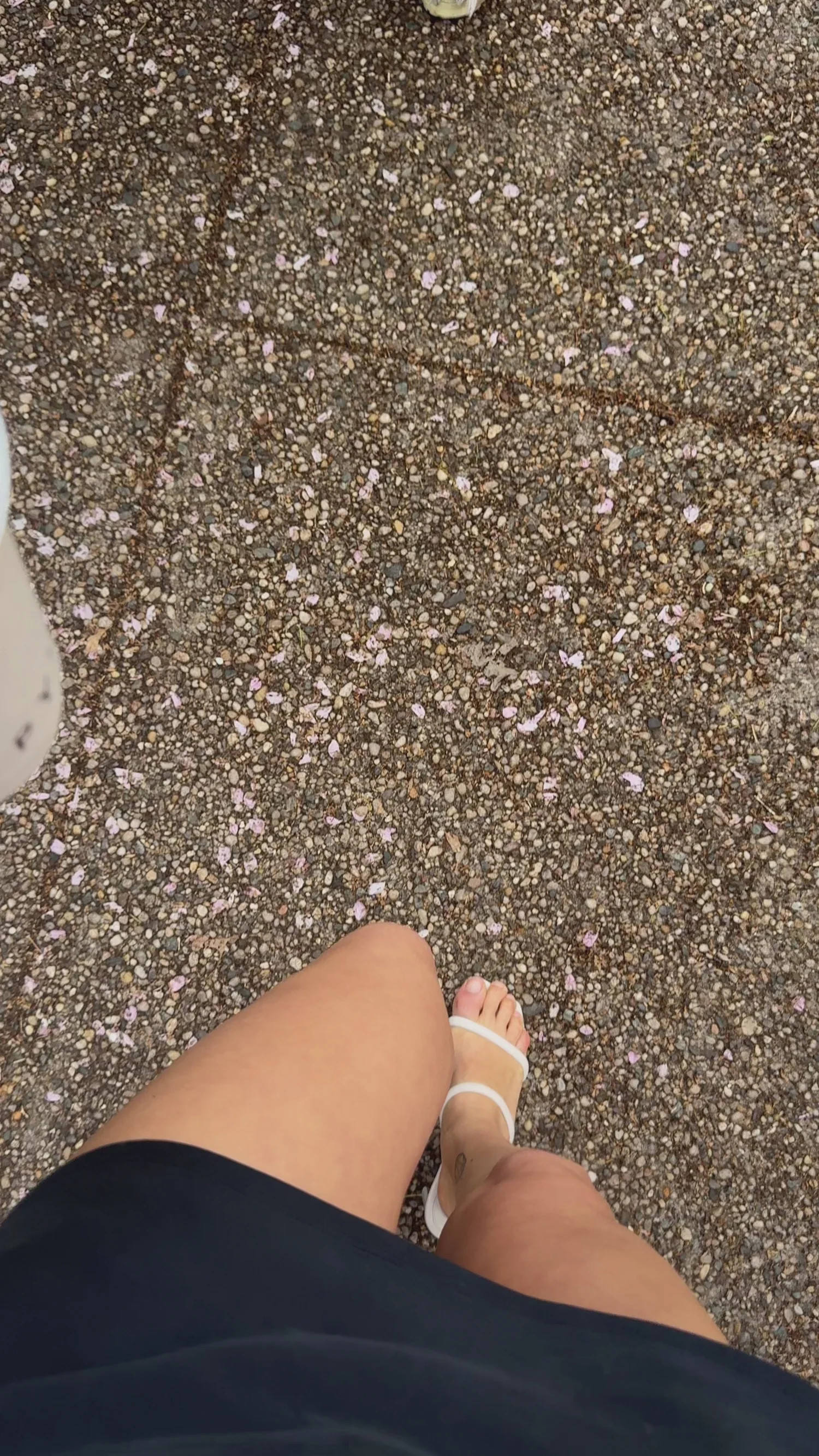 Ully Tab Sandal | Schutz Shoes (US)