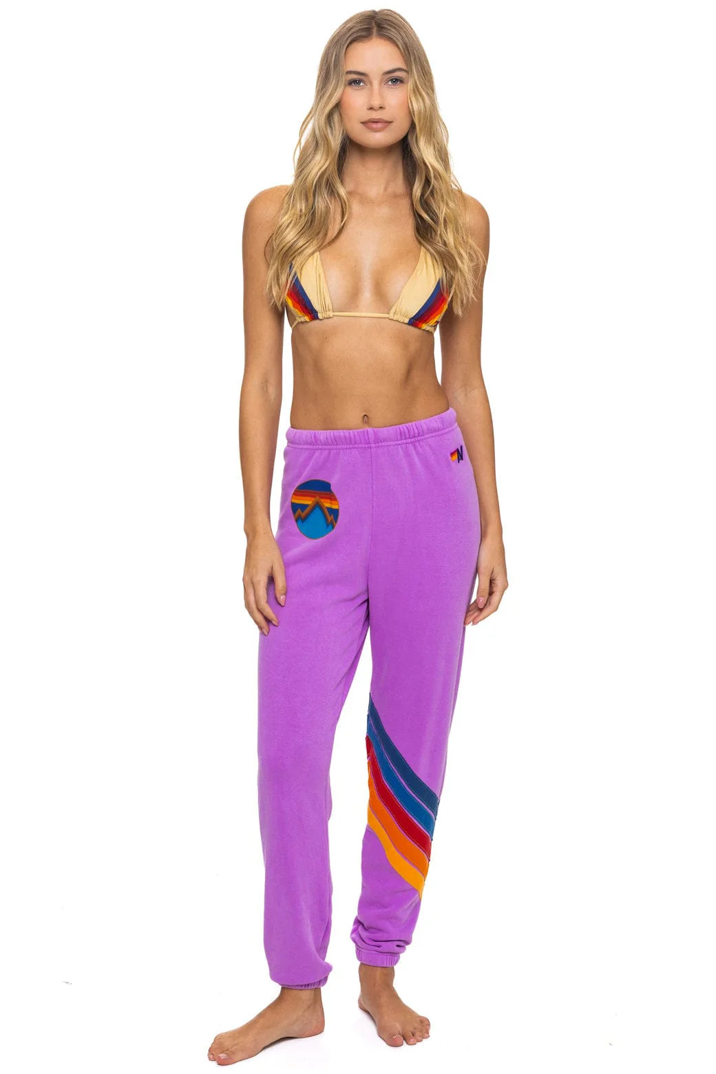 ALL SEASONS CIRCLE CHEVRON SWEATPANTS - NEON PURPLE | Aviator Nation