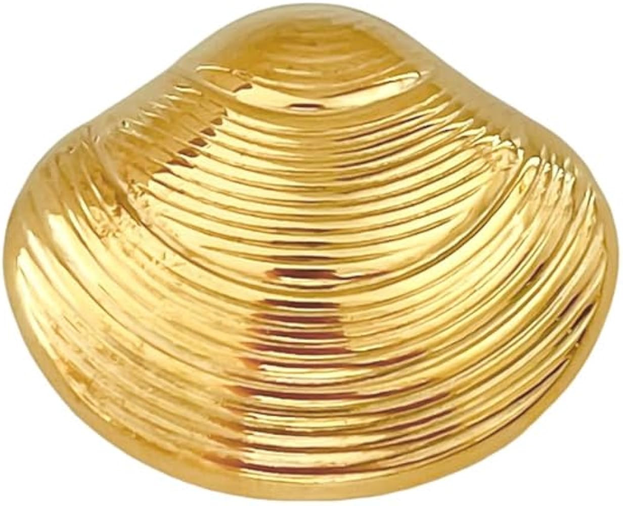 Vintage Seashell Brooch Pin for Women Men Stainless Steel Charm Scallop Ocean Themed Lapel Pins E... | Amazon (US)