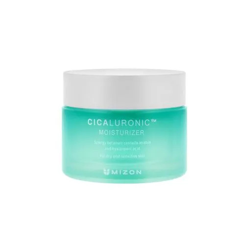 MIZON - Cicaluronic Moisturizer | YesStyle | YesStyle Global