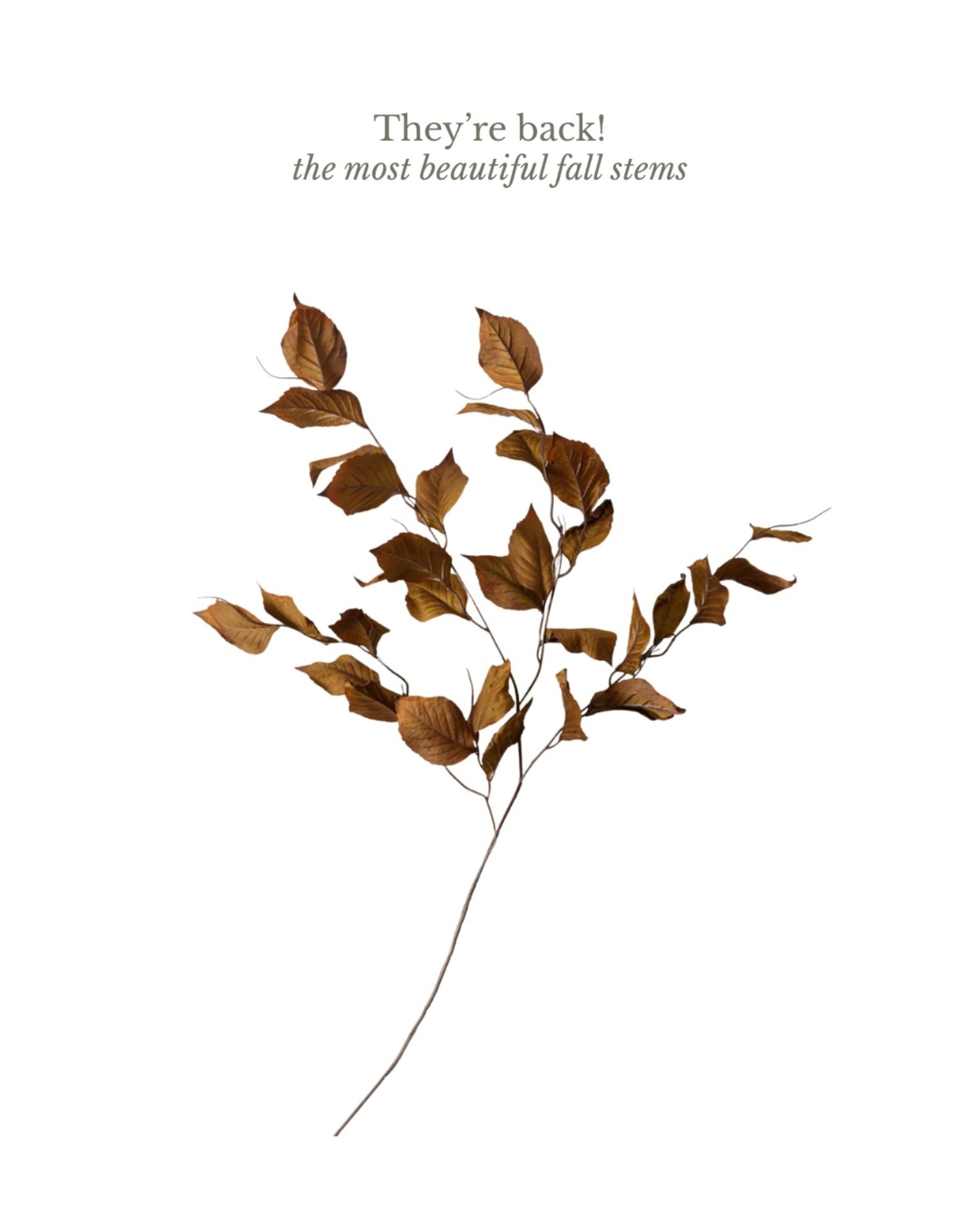 Beautiful and realistic fall stems, affordable fall finds, magnolia home decor, Homebyjulianne home accents 

#LTKSeasonal #LTKHome #LTKFindsUnder50