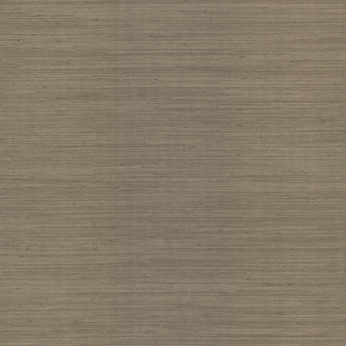 A-Street Prints Mycroft Sterling Grasscloth Wallpaper | DecoratorsBest
