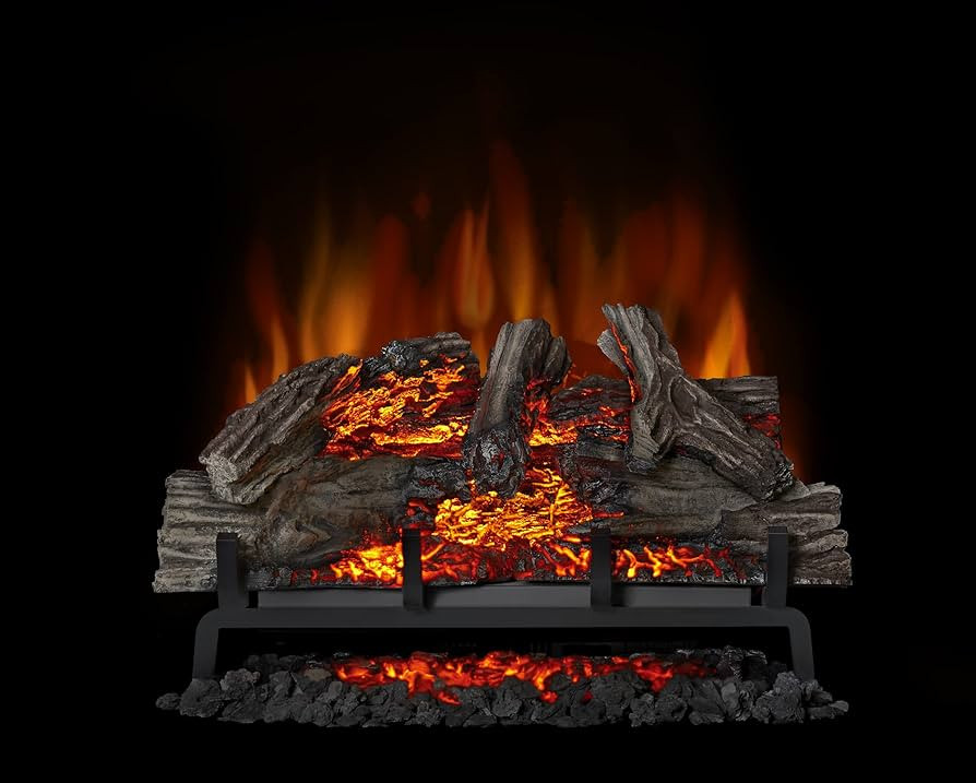 Napoleon Woodland 27 - NEFI27H - Electric Log Set, Electric Fireplace, 27-in, Hand Painted Realis... | Amazon (US)