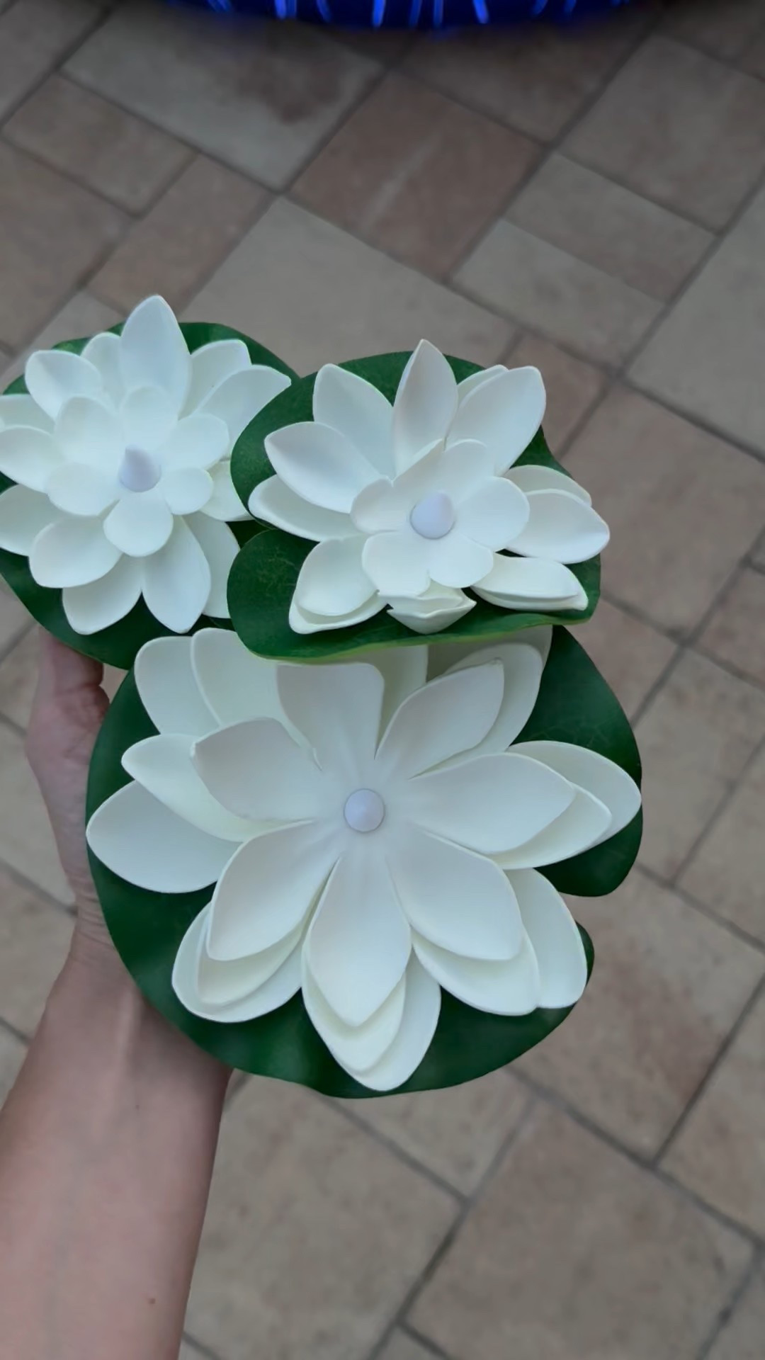 Amazon Lights! 

#LTKSeasonal #LTKStyleTip