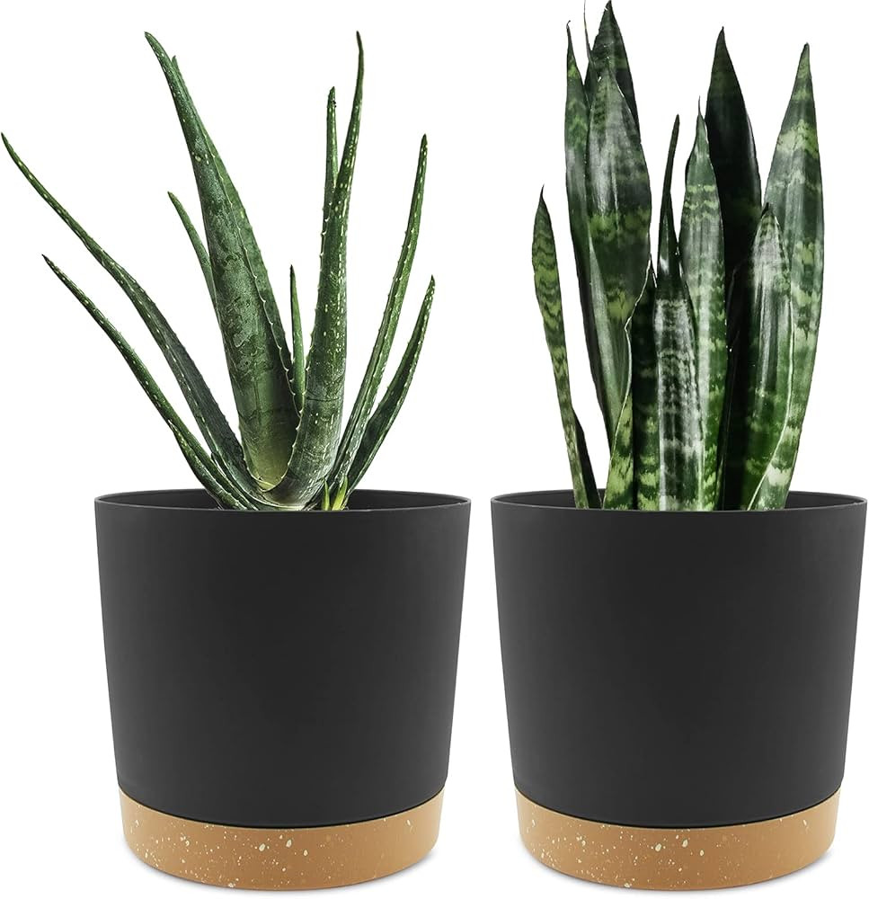 QCQHDU Plant Pots Set of 2 Pack 8 inch,Planters for Indoor Plants with Drainage Holes and Removab... | Amazon (US)
