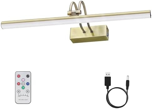 RAIFOOLLY Picture Light,Picture Lights for Wall Cordless,13" Picture Lights with Timer and Dimmab... | Amazon (US)