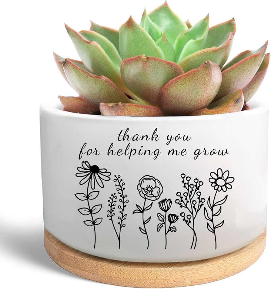 Thank You Gifts for Teacher from Students, Ceramic Plant Pot for Succulent, Flower Planter, Teach... | Amazon (US)