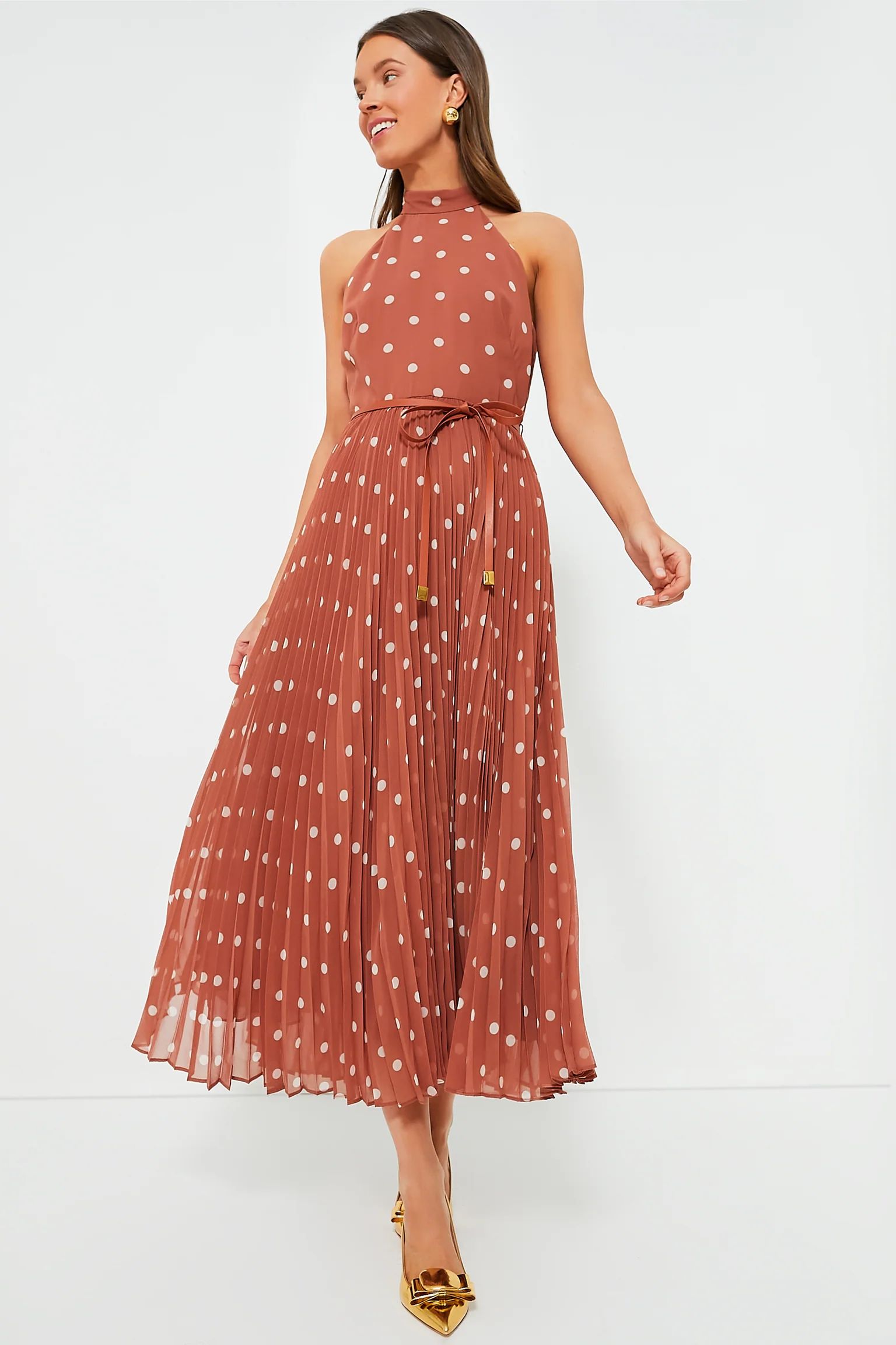 Aragon and Cream Dot Sunray Picnic Dress | Tuckernuck (US)