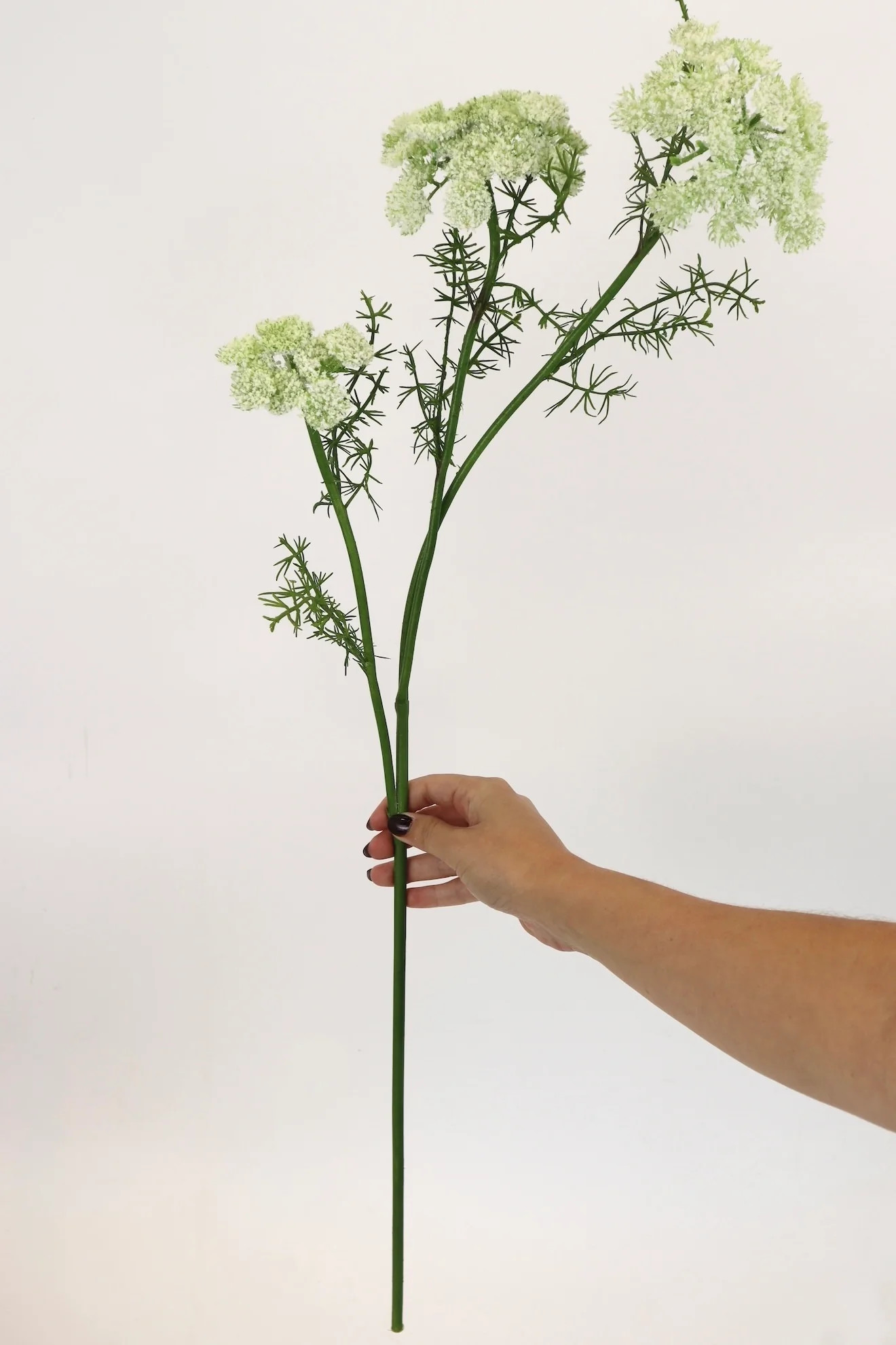 Queen Anne's Lace Spray - 29” | THELIFESTYLEDCO