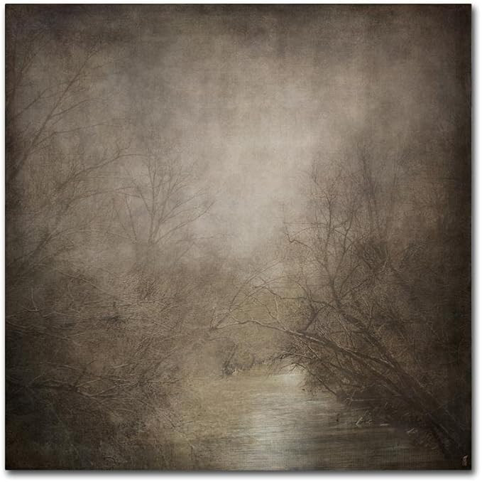 Trademark Fine Art ALI14072-C3535GG Canvas Art, 35x35 | Amazon (US)