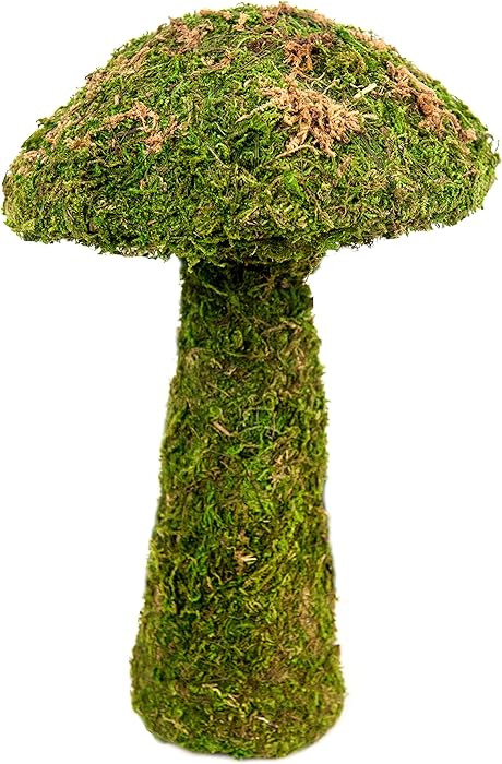 SuperMoss (55271) Deco Moss Small Mushroom, 11", Fresh Green | Amazon (US)