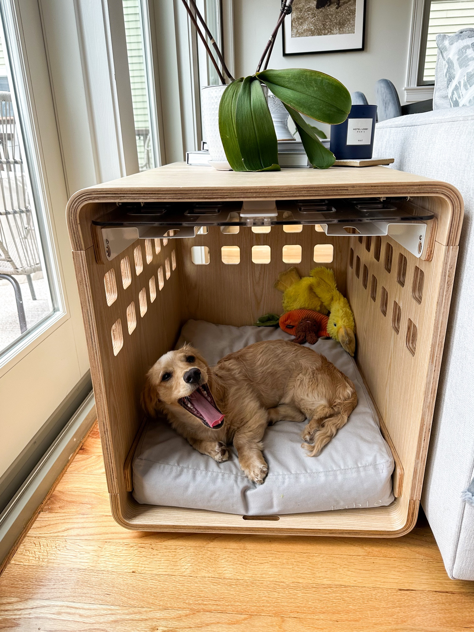 Our favorite dog crate & bed 🐶 

#LTKhome