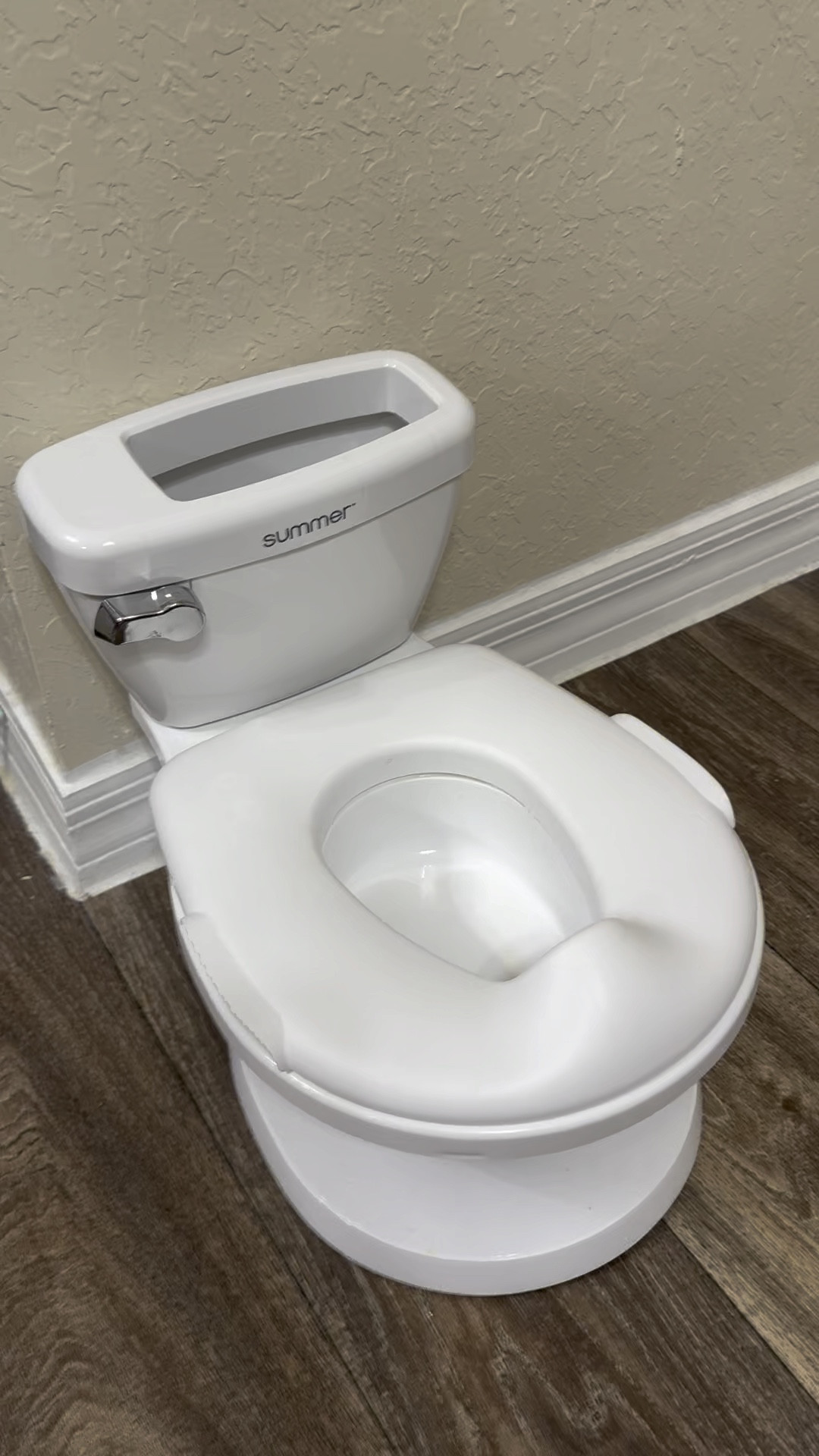 We are potty training our two year old daughter, and she loves this little toilet as well as her little potty jar. 

#LTKVideo #LTKBaby #LTKKids