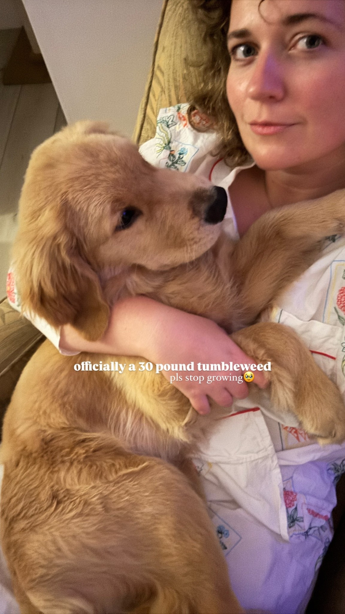 officially a 30 pound tumbleweed pls stop growing🥹 

Summer pjs by printfresh (fits TTS)

#LTKMidsize #LTKHome