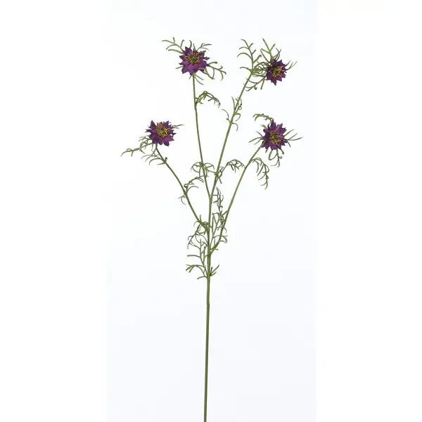 28-inch Nigella Stem (Pack of 12) | Bed Bath & Beyond