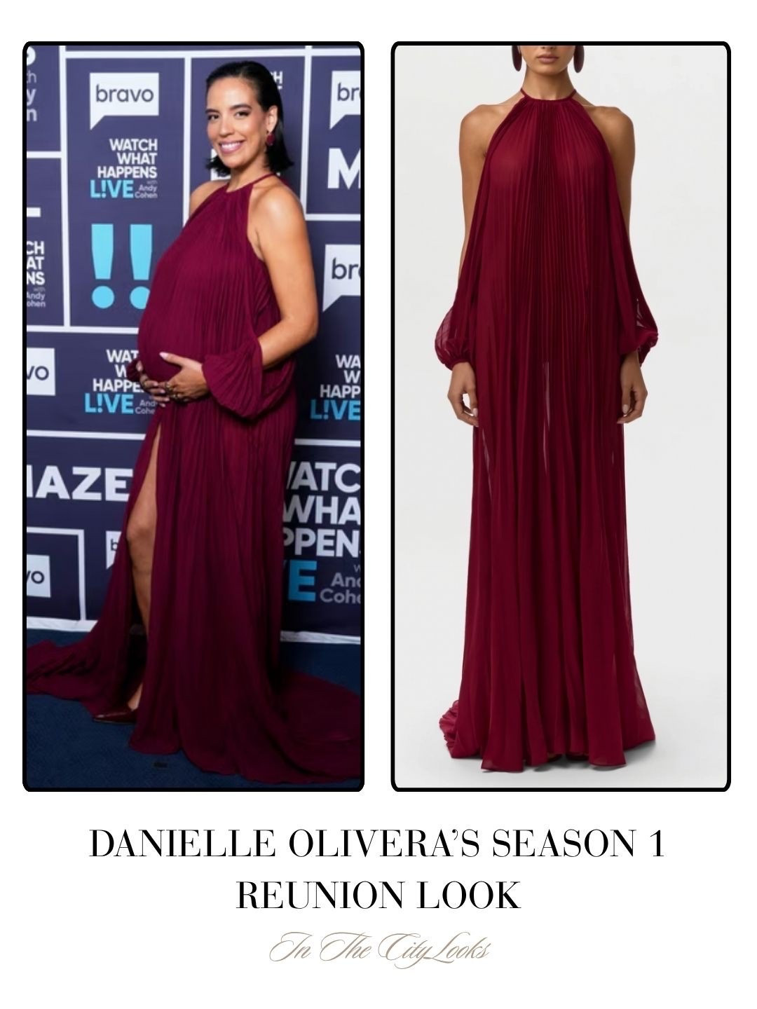 Danielle Olivera’s Season 1 Reunion Dress Sold by Naked Wardrobe 📸 + Info= Bravo TV