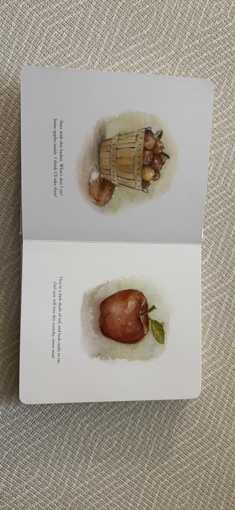 Our Little Adventure to the Farmers Market: A First Words Book Featuring Lessons on Sharing, Kind... | Amazon (US)