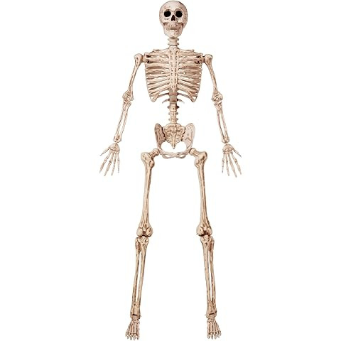 JOYIN 5.6 FT Halloween Posable Life Size Skeleton, Full Body Realistic Bones with Movable Joints,... | Amazon (US)