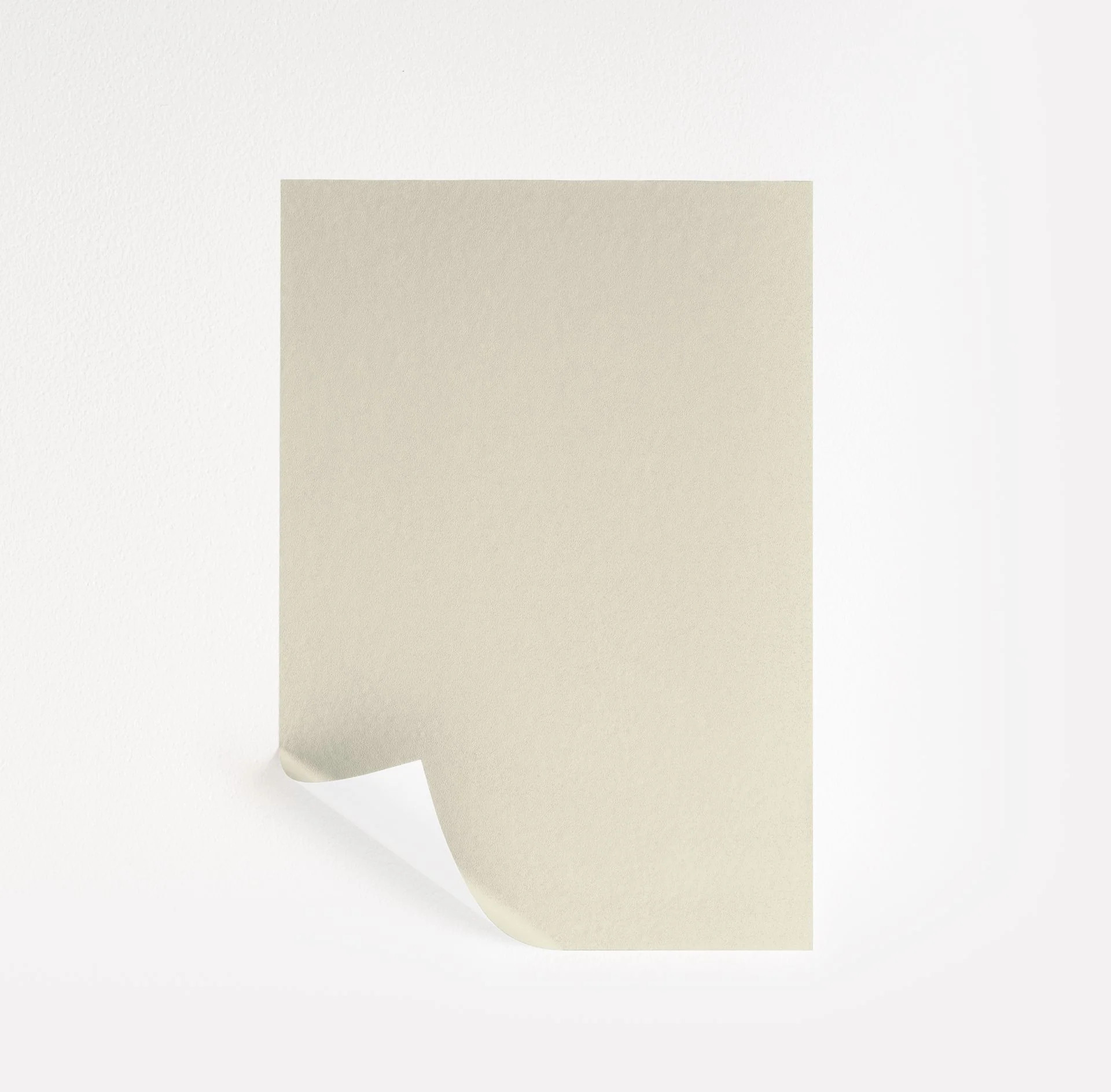 White Down Paint Sample by Benjamin Moore (970) | Peel & Stick Paint Sample | Samplize